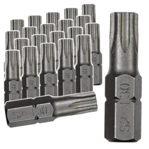 TE-CH 20szt      BIT TX 30/025 