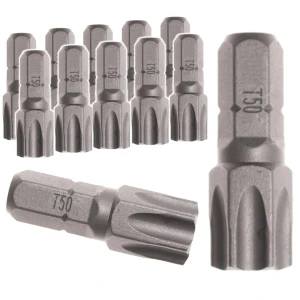 TE-CH 10szt      BIT TX 50/025 