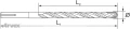 sizes-xplus.gif