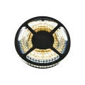 z1.png