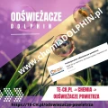 dolphin-odswiezacze.jpg